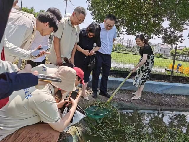 安财三下乡——直击皖北乡村污水治理破局之道